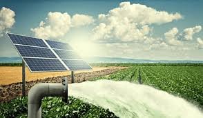 Agricultural Solar Setup